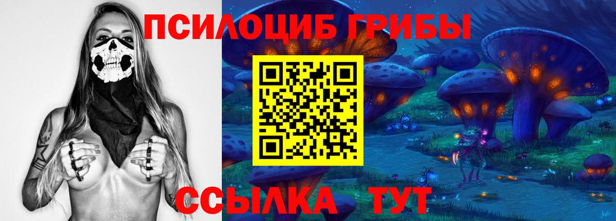 Псилоцибиновые грибы Cubensis  Псилоцибиновые грибы мицелий  Вход с VPN  Десногорск 