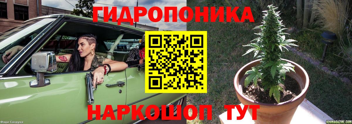 Десногорск  Бошки Шишки THC 21%  Каннабис AK-47  Конопля Amnesia  Вход с VPN 